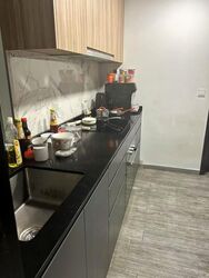 The Verandah Residences (D5), Apartment #446239121